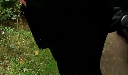 Dea Orgasmi in bdsm spettacolo gay italiani sborrano