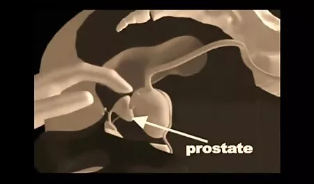 Bravo porno gay italiani